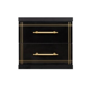 Cabinet ST-20 Black | 2-Drawer Storage Unit with Gold Accents