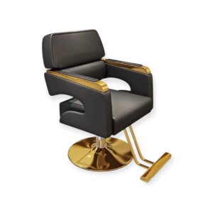 Salon Chair Abbotsford FR-88075-C6 | Gold Frame | Leather Black (004)